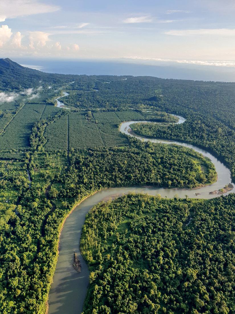 Rivers winding through the forest of West New Britain